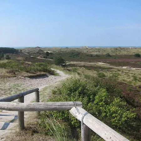 Panorama *